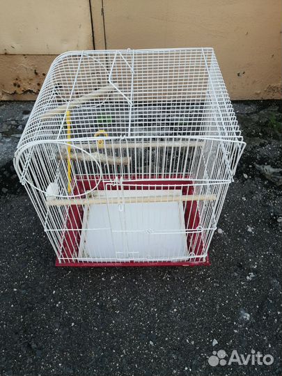 Клетка для попугая