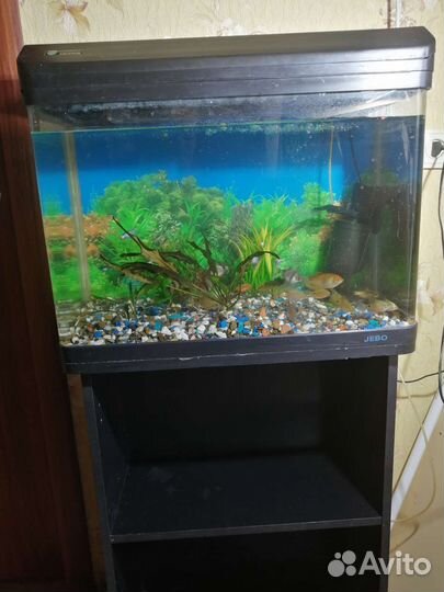 Аквариум
