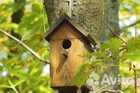 Кормушки скворечники для птиц