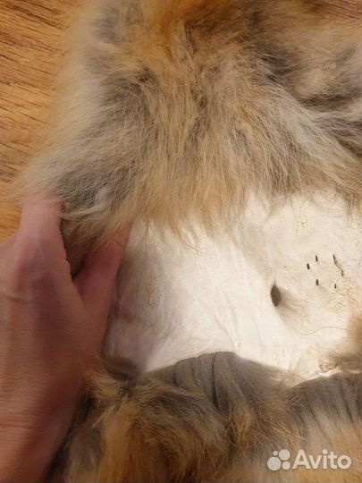 Лисья шкура