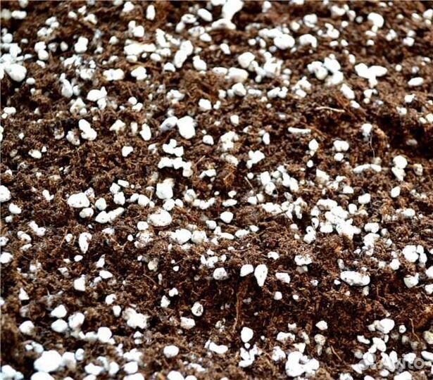 Грунт для антуриума