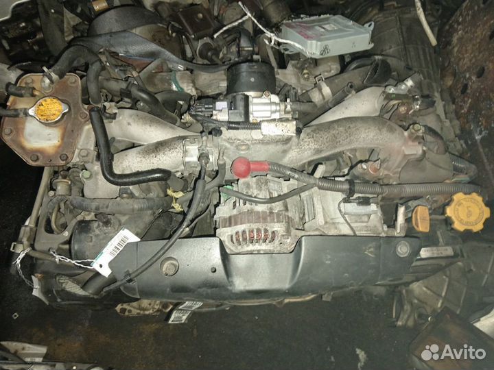 Двигатель на Subaru Forester SG5 EJ205