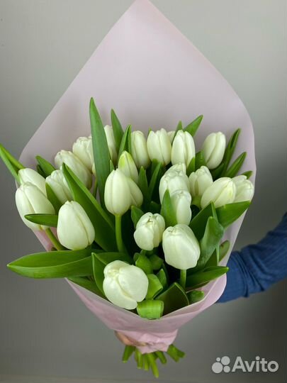 Букет из белых тюльпанов 25 шт в упаковке