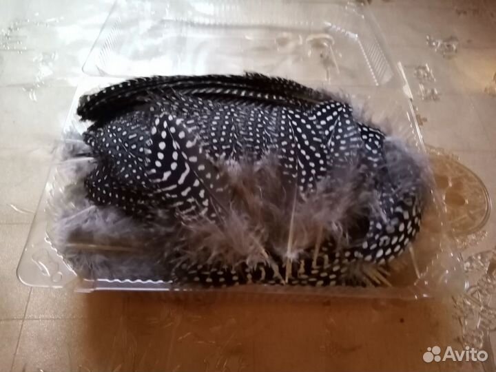 Перо цесарки