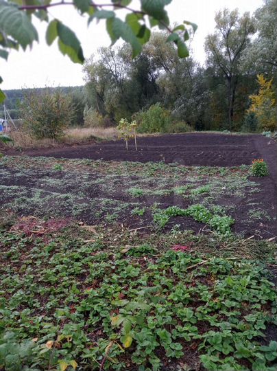 Дом 100 м² на участке 6 сот.