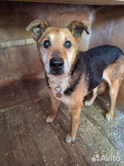 Бруня нуждается в любящем человеке