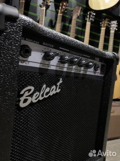 Комбоусилитель басовый 15 ватт Belcat (Новый)