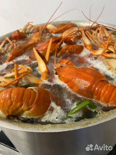 Раки варёные с доставкой на дом. Челябинск