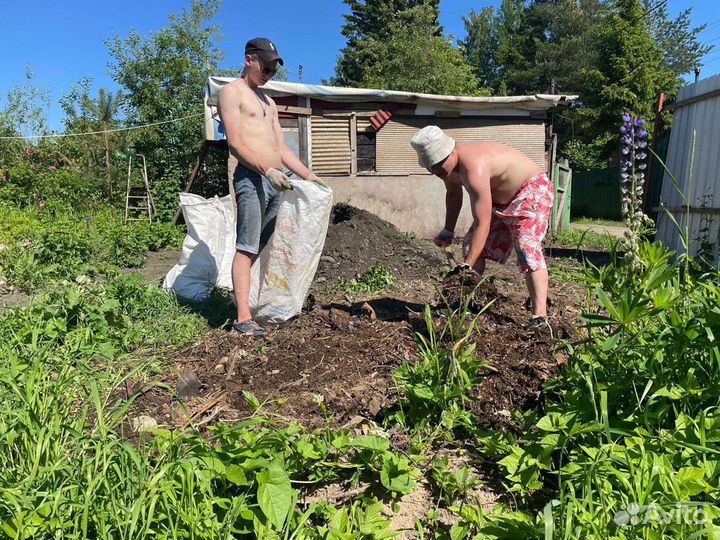 Вывоз мусора