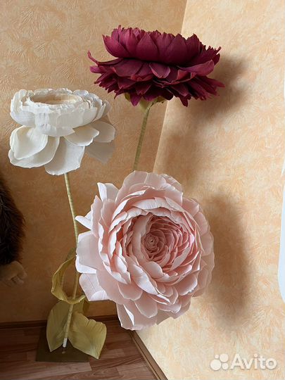Ростовые цветы