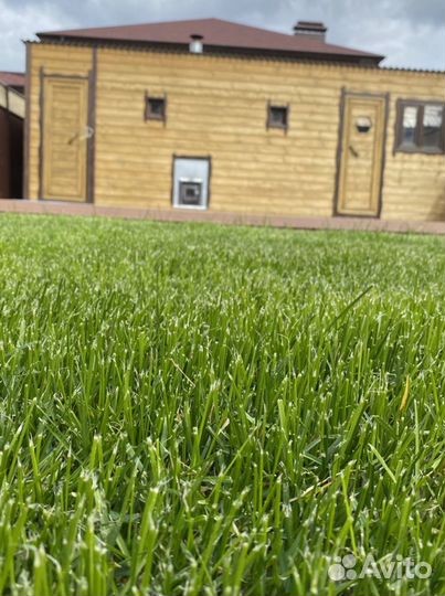 Рулонный газон «Де Люкс»