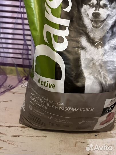 Корм для собак