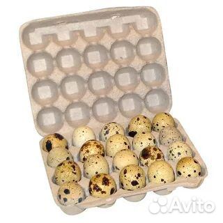 Яйца перепелиные
