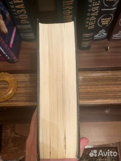 Василий Розанов Уединенное