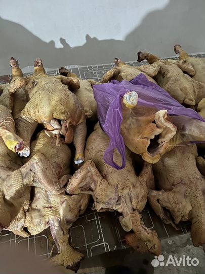 Тушка цыплят бройлеры