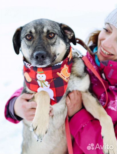 Ярик ищет семью