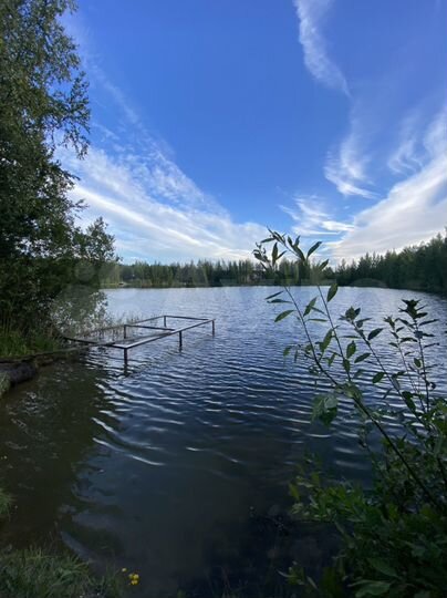 Участок 2,9 га (СНТ, ДНП)