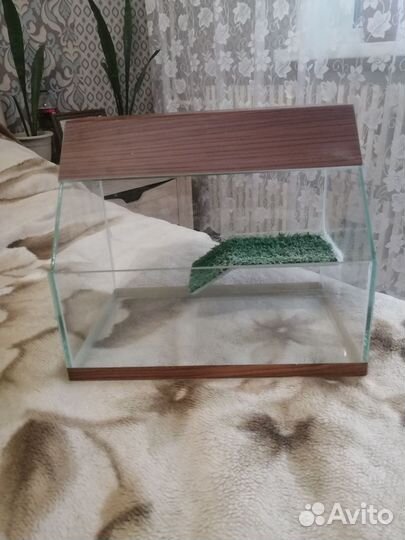 Аквариум(террариум)