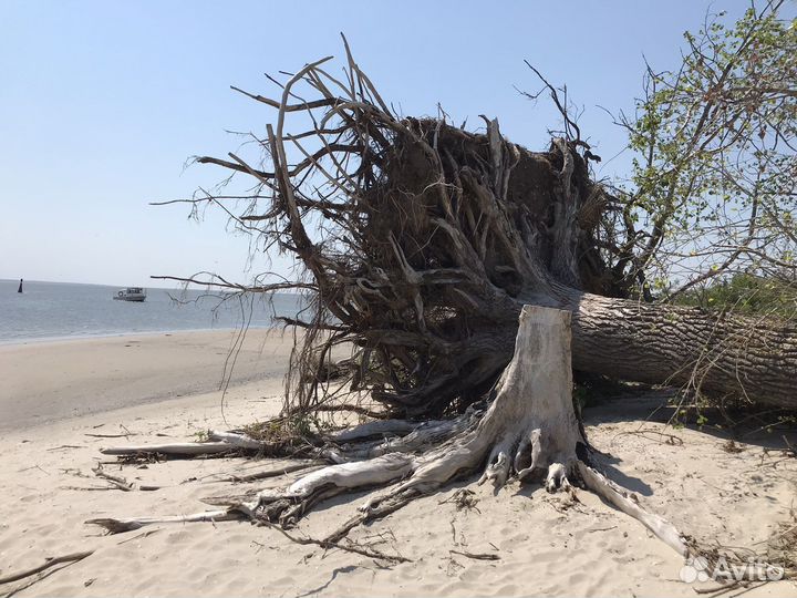 Прогулки на катере