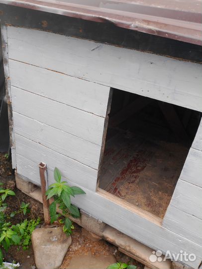 Конура бу для большой собаки