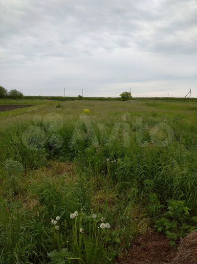 Участок 30 сот. (ИЖС)