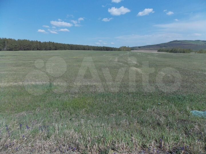 Участок 14 га (СНТ, ДНП)