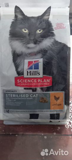 Корм для кошек