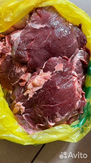 Продам мясо говядина