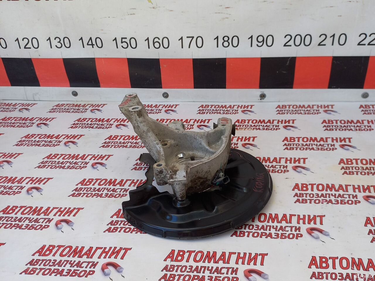 Кулак цапфа задняя левая Шкода Кодиак 16-23