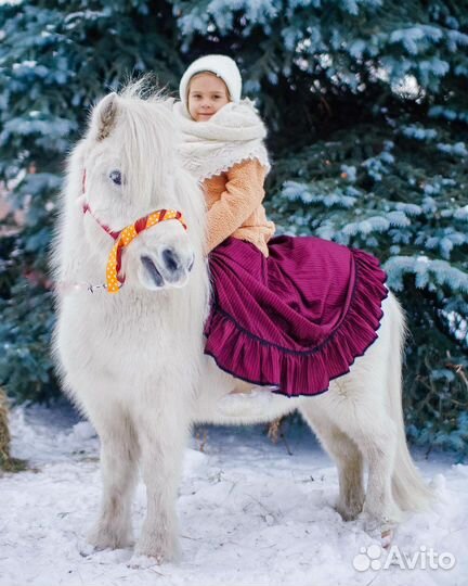 Заказ пони на праздник и в садик
