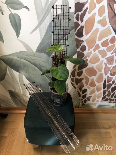 Тотем опора для растений