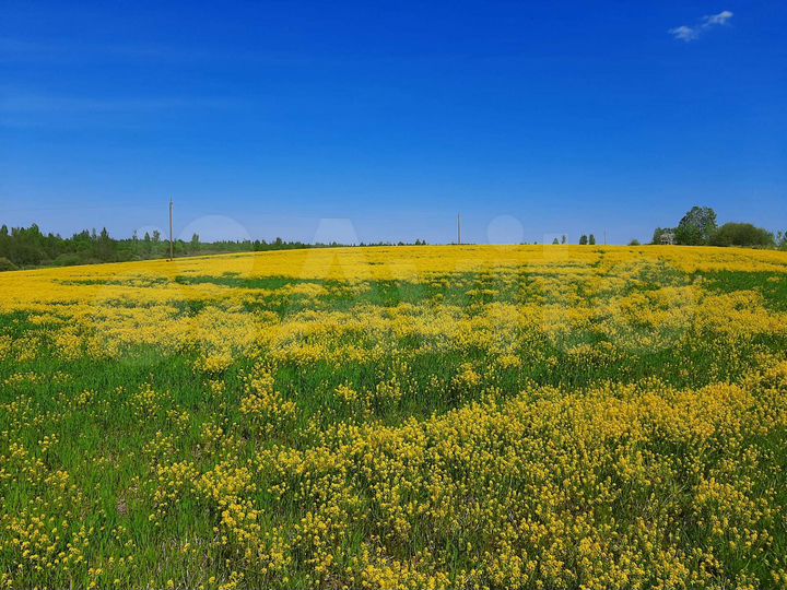 Участок 9,7 сот. (СНТ, ДНП)