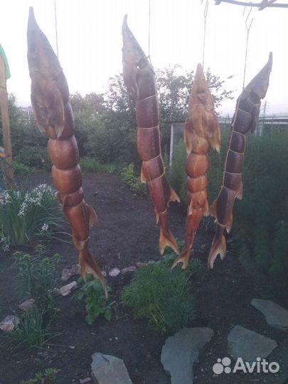 Копчение