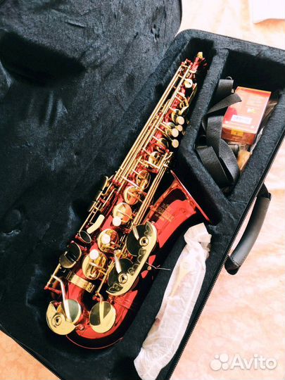 Саксофон ROY benson AS-202R Eb альт
