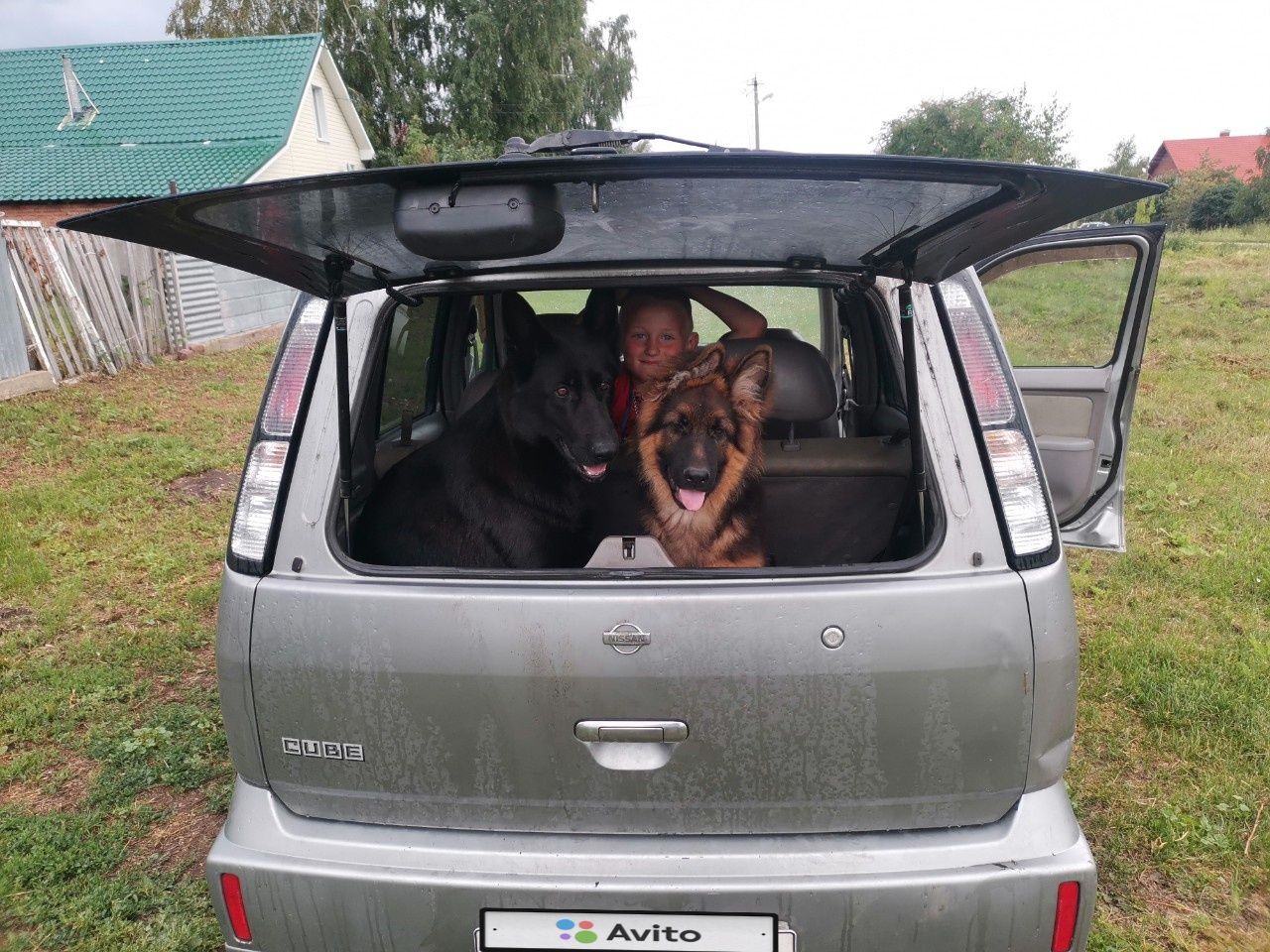 Nissan Cube: фото владельца