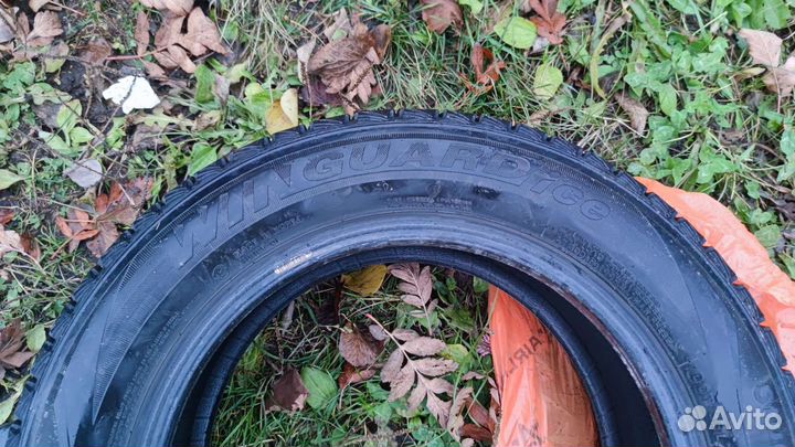 Nexen Winguard Ice 185/65 R15