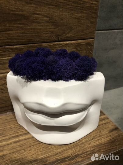 Кашпо «Губы Давида» со стабилизированным мхом