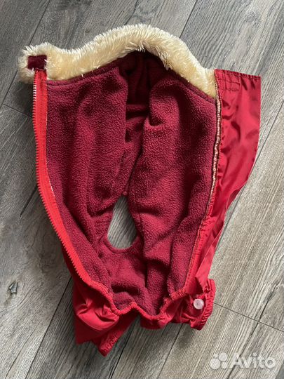 Одежда длч собак