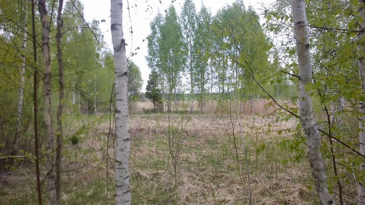 Участок 20 сот. (СНТ, ДНП)