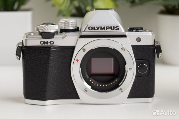 Olympus OM-D E-M10 Mark II Kit