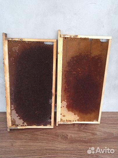 Сушь для пчел