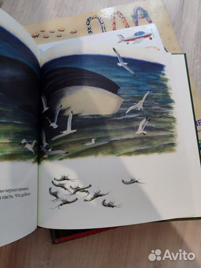 Кто в море живёт Энциклопедия с окошками, foliant