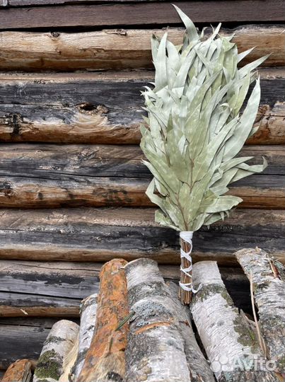 Веник эвкалиптовый для бани