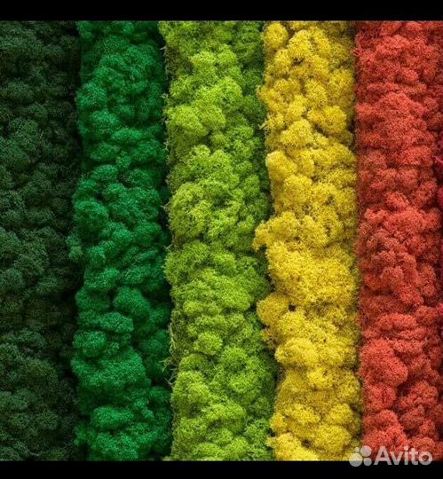 Кашпо со стабилизированным мхом, сирень