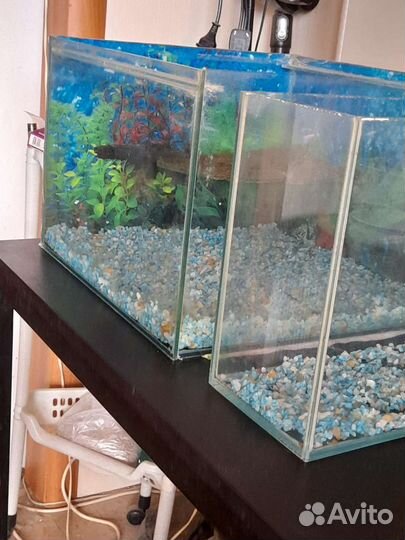 Аквариум