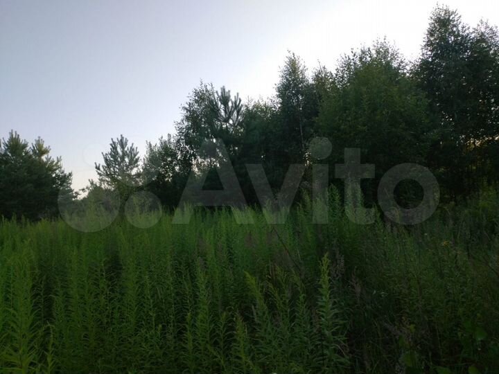 Участок 19,4 сот. (СНТ, ДНП)