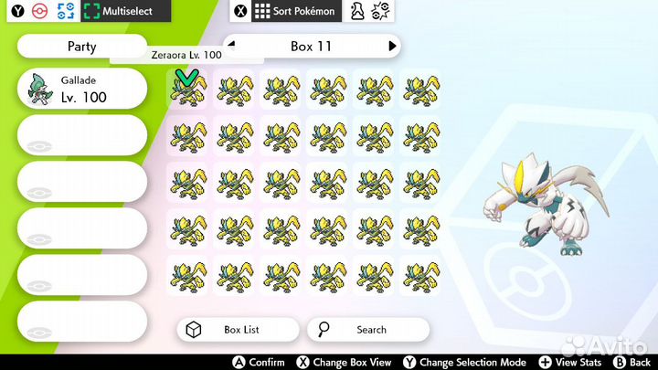 Pokemon Sword Shield Shiny Zeraora и другие