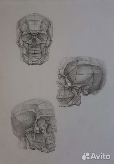 Академические рисунки