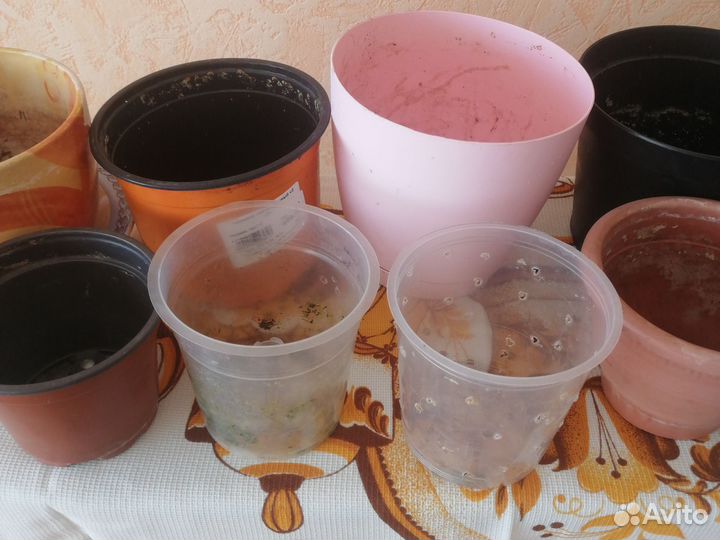 Горшочки для ростний