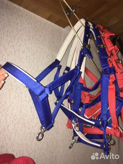 Недоуздок для пони и лошади